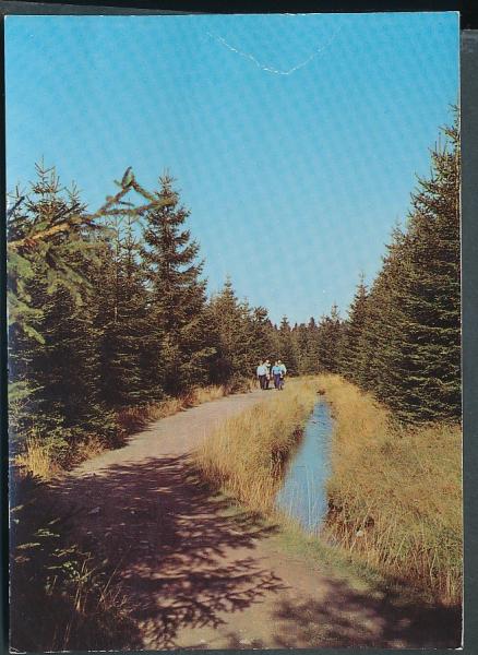 Altenau, Partie am Dammgraben